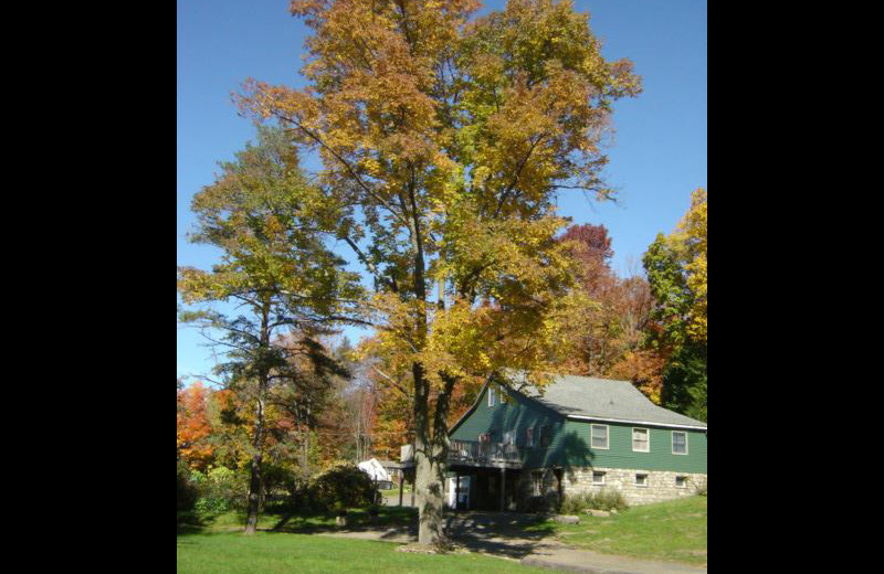 Exterior view of Panther Lodging.