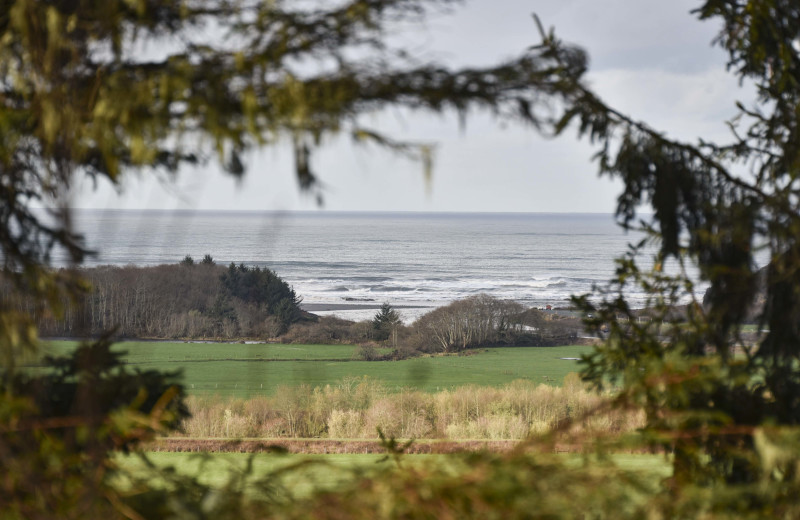 Beach view at Redwood Coast Vacation Rentals