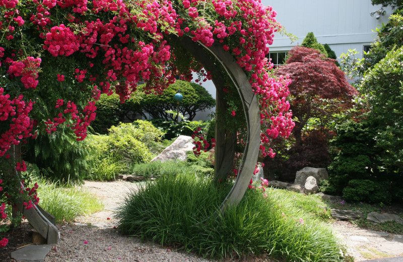 Garden at Pleasant Bay Village.