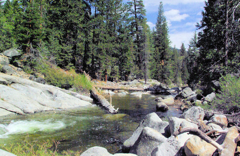 Scenic view at Dinkey Creek Inn.