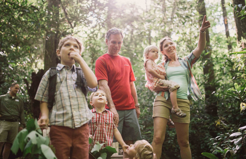 Family hiking at American Mountain Rentals.