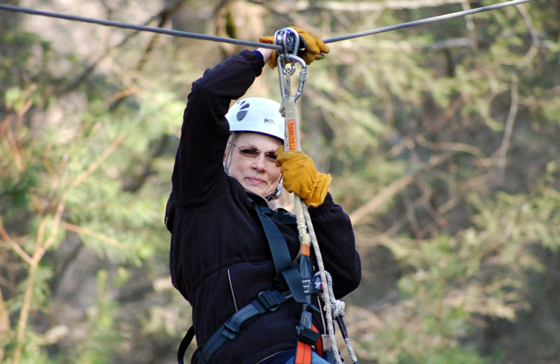 Zip line through the trees at Greybeard Rentals.