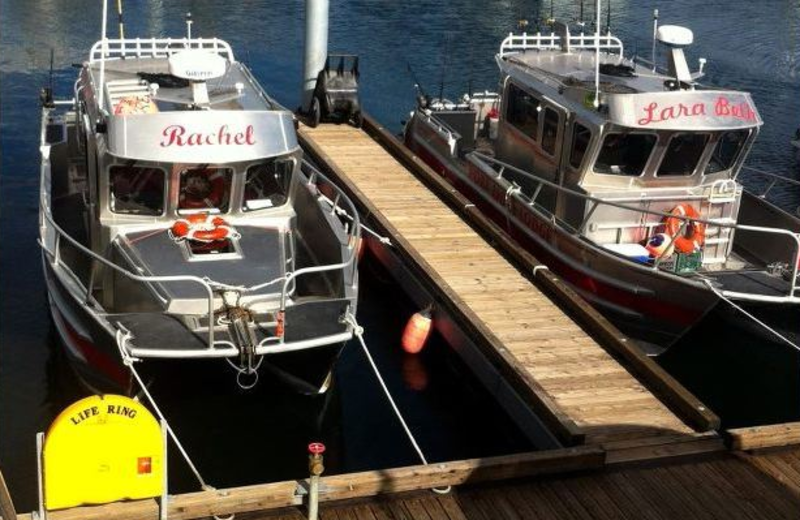 Fishing boats at Port Lions Lodge.