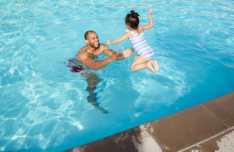 Family swimming in pool at Solage Calistoga.