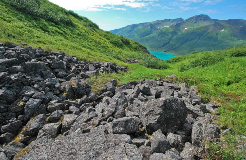 Mountains at Chelatna Lake Lodge.