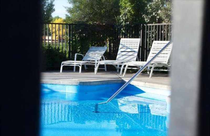 Outdoor swimming pool at Black Canyon Motel.