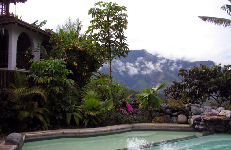 Outdoor pool at Hacienda Primavera Wilderness Ecolodge.