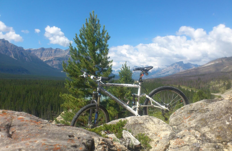 Mountain biking at Expanse Cottages.