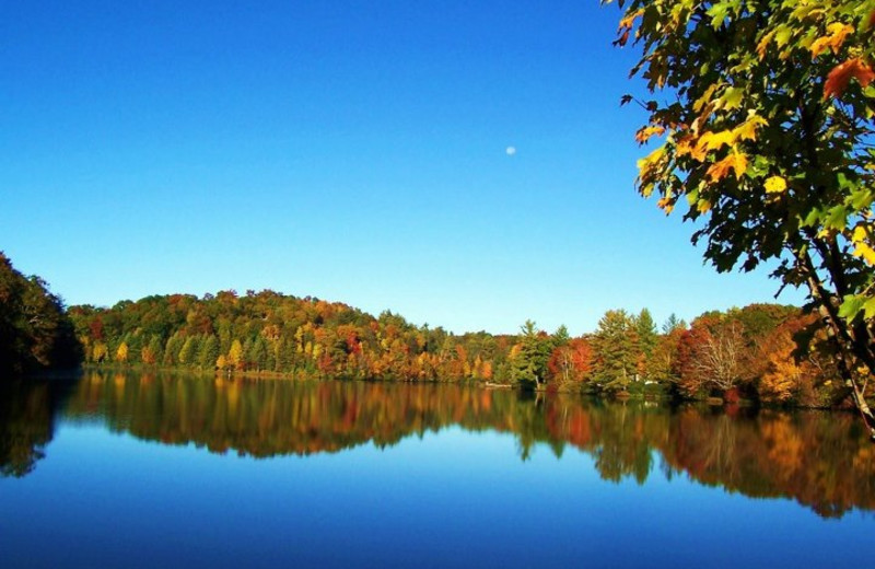 The Lake at Land Harbor