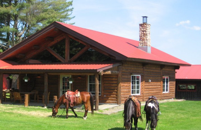 Cabin exterior at Palmquist Farm.