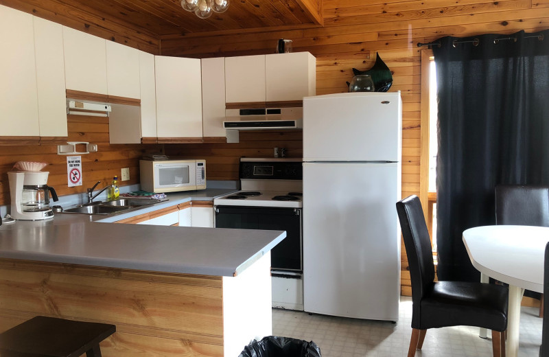 Cabin kitchen at Dogtooth Lake Resort.