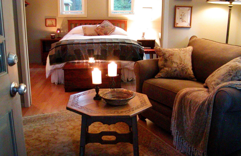 Cabin interior at WildSpring Guest Habitat.