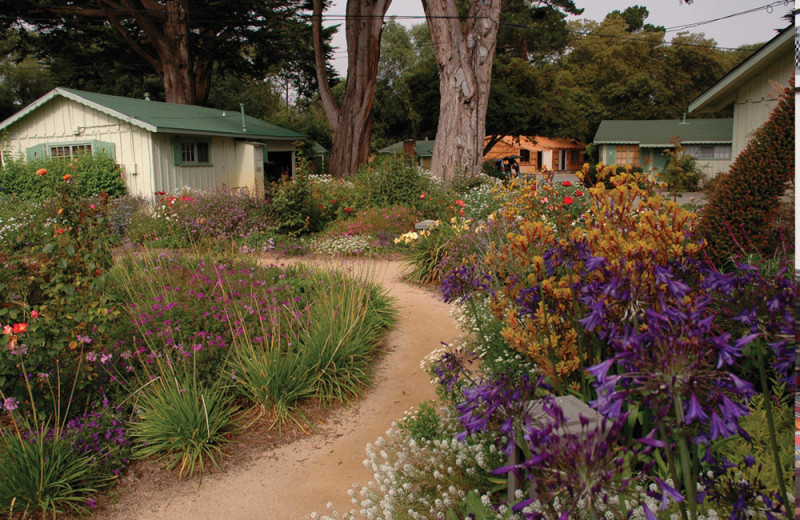 Cottage at Carmel River Inn.