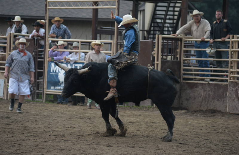 Rodeo at Malibu Dude Ranch