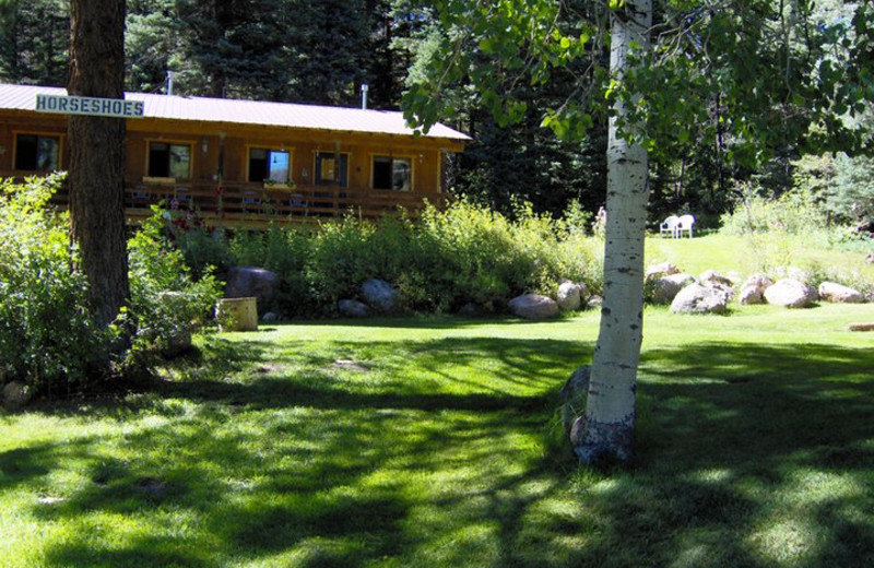 Cabin exterior at Lone Wolf Cabins and Getaway.