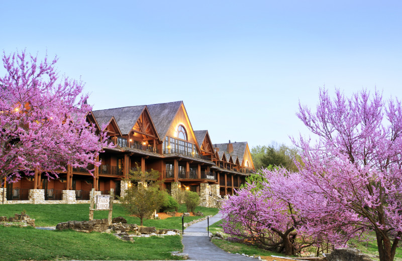 Spring at Big Cedar Lodge.