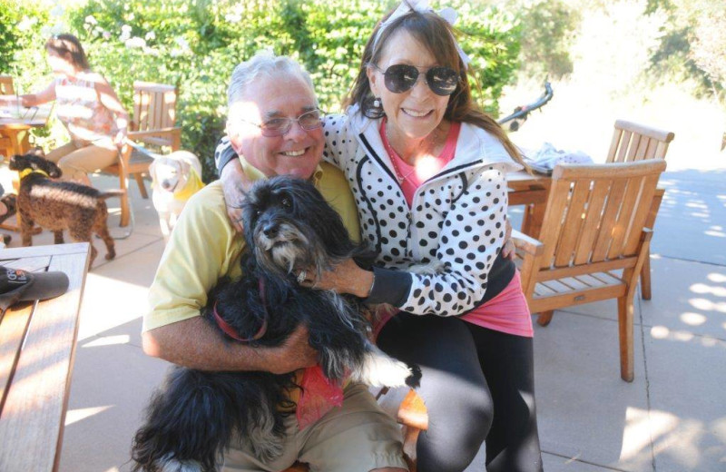 Pets welcome at Quail Lodge Resort.