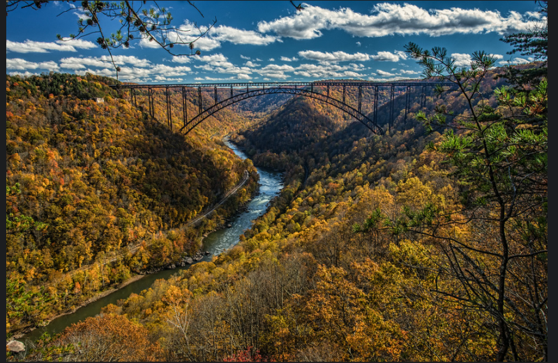Scenic view of bridge at ACE Adventure Resort.