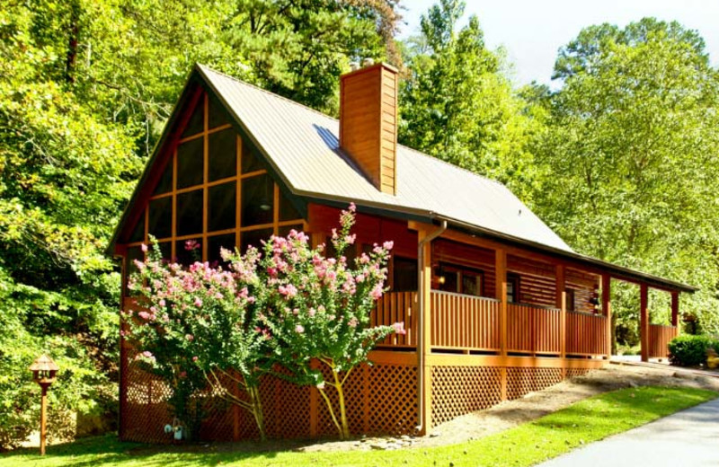 Cabin at Hidden Mountain Resorts