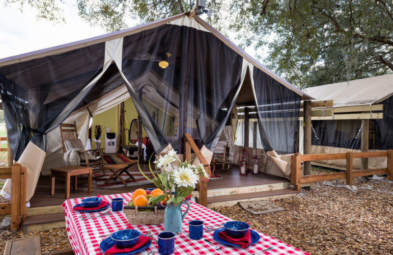 Luxury tents at Westgate River Ranch Resort & Rodeo.