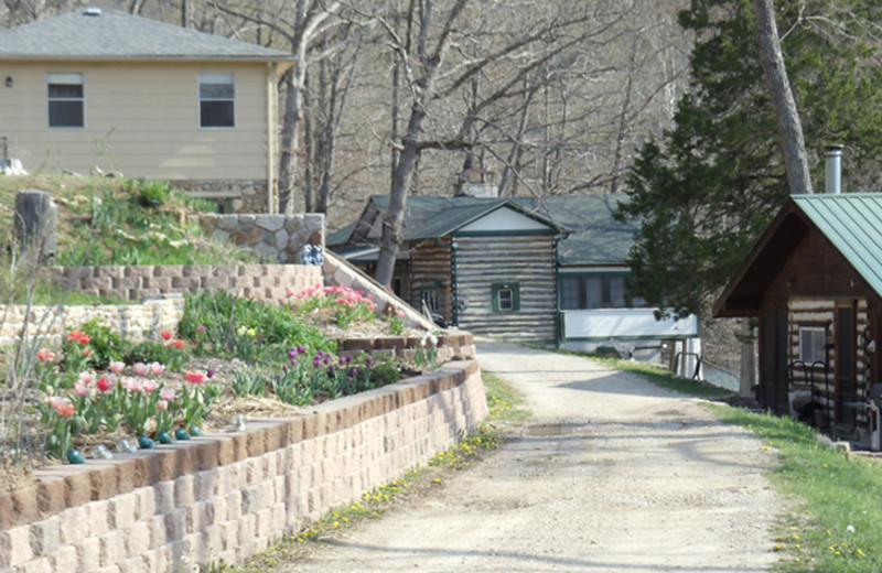 Cabins at Blue Jay Farm