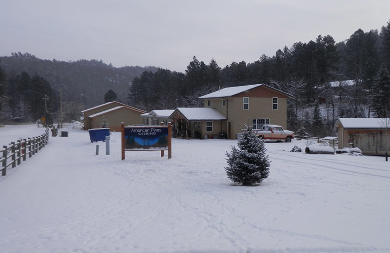 Winter exterior at American Pines Cabins.