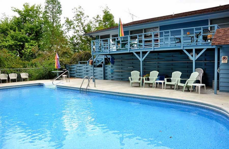 Outdoor pool at Pond Mountain Lodge & Resort.