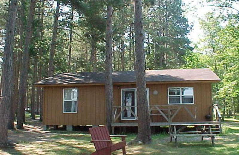 Cabin Exterior at Evergreen Lodge