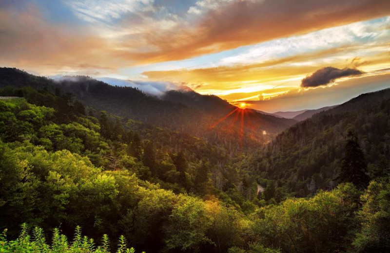 Mountain view at Great Smokys Cabin Rentals.