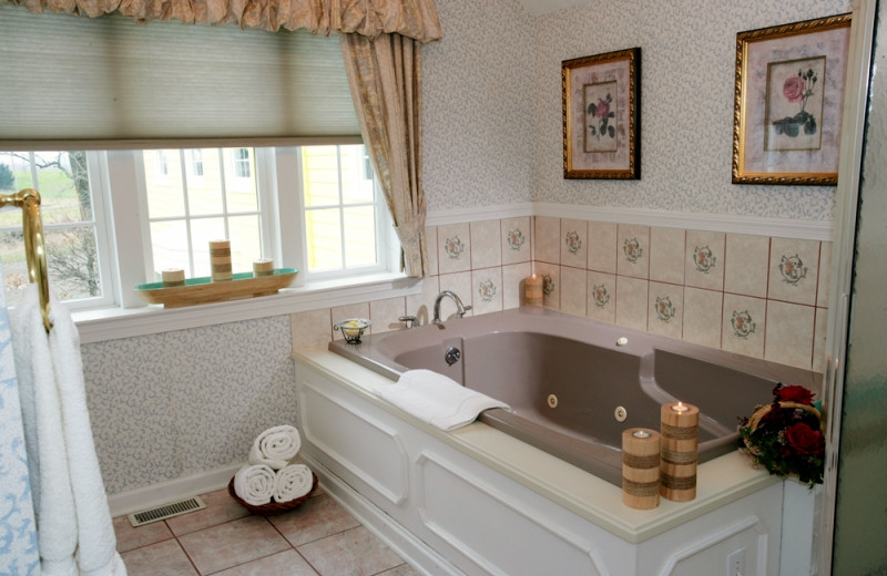 Tree House Apartment bathroom at HideAway Country Inn.