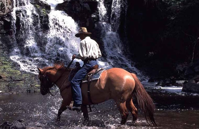 Horseback Riding at Siwash Lake Ranch