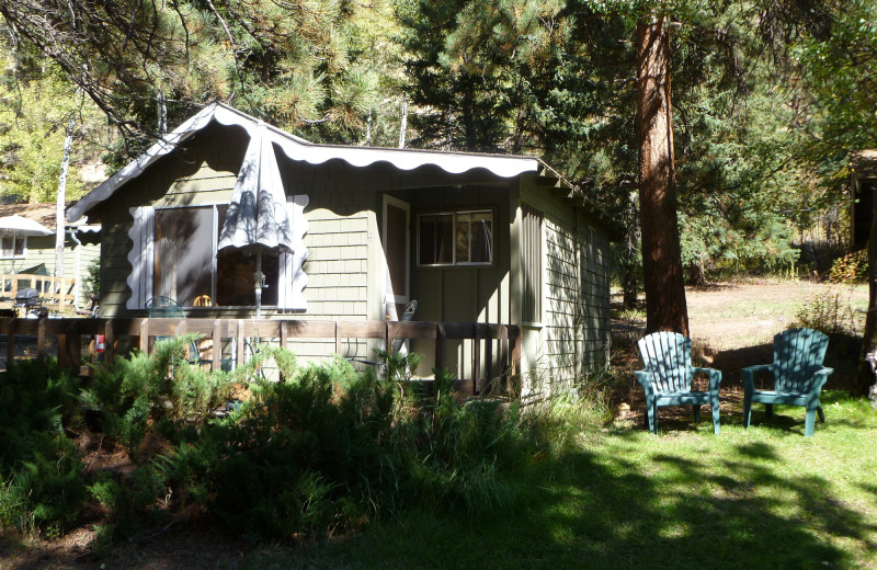 Cabin at Workshire Lodge.