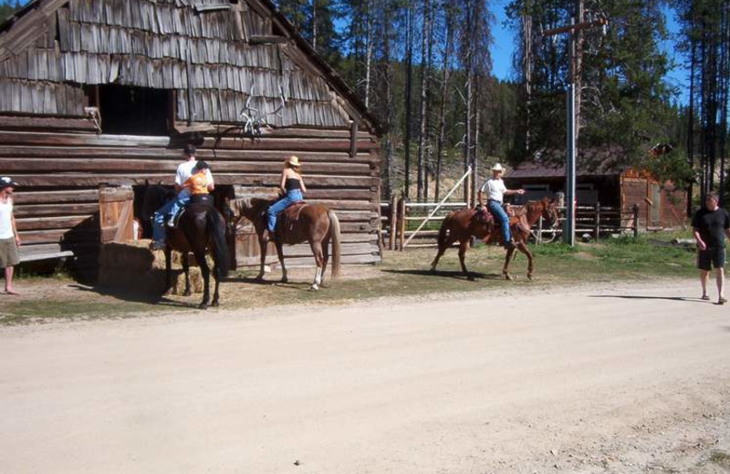 Ranch view at Silver Spur Outfitters.