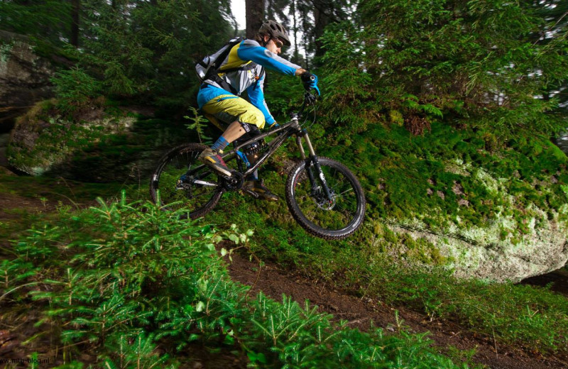 Biking at Morrison's Rogue River Lodge.