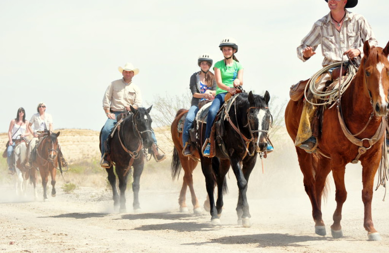 Horse trails at Lajitas Resort.