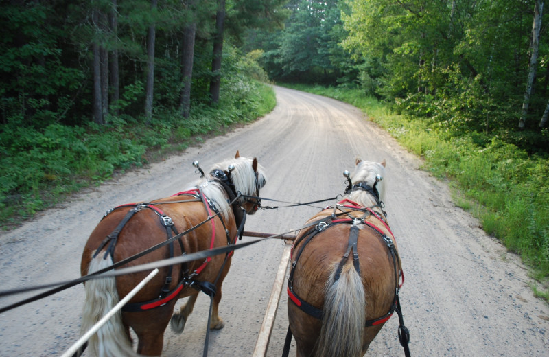 Wagon ride at Geiger's Trails End.