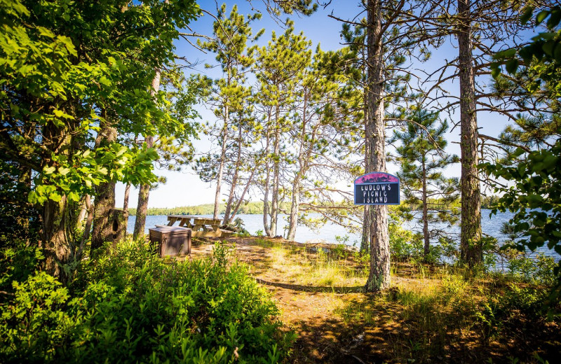 Picnic at Ludlow's Island Resort.