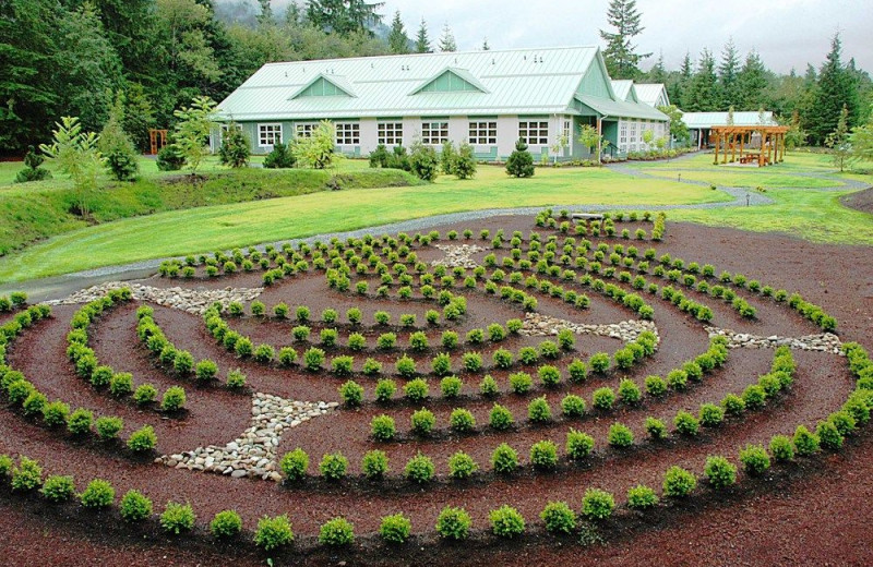 Maze at Honeymoon Bay Lodge & Retreat.