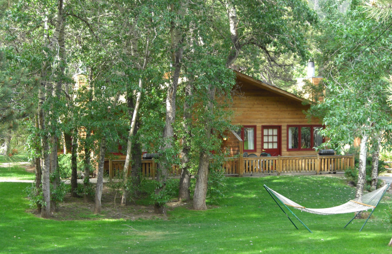 Cabin exterior at Streamside on Fall River.