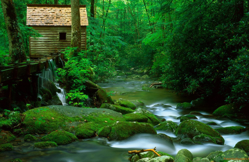 Scenic view at Sunset Farm Cabins.