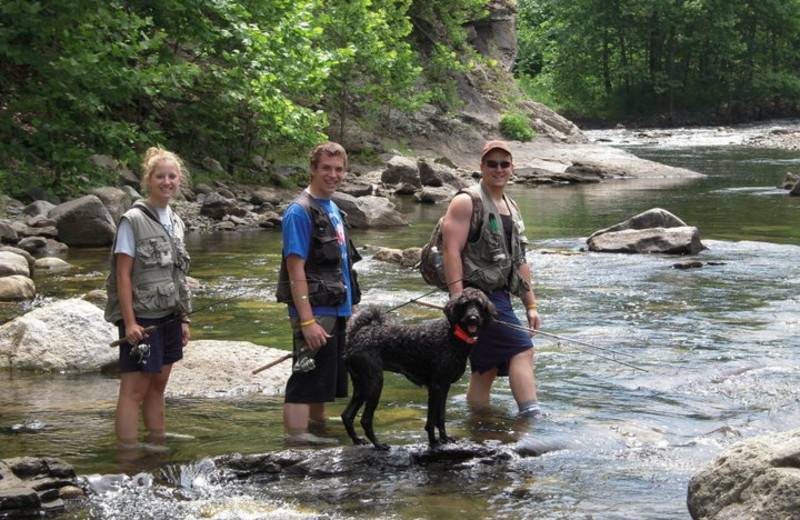 Pets welcome at Harman's Luxury Log Cabins.