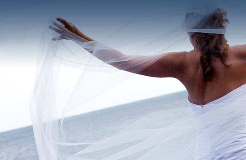 Wedding at Temperance Landing on Lake Superior.