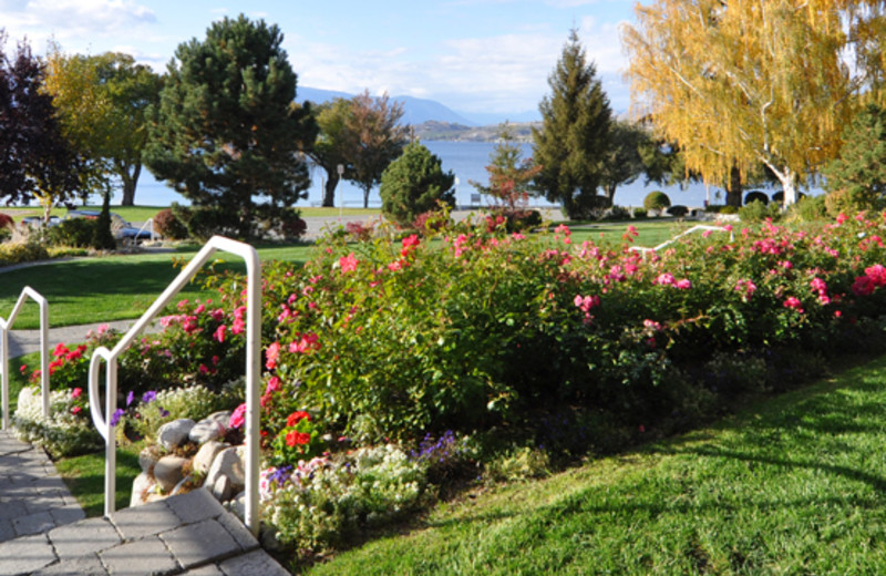 Walking path through resort at Lakeside Lodge & Suites.