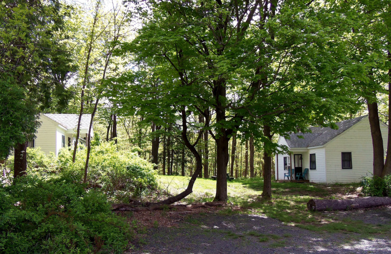 Bungalows at Arrow Park Lake and Lodge.