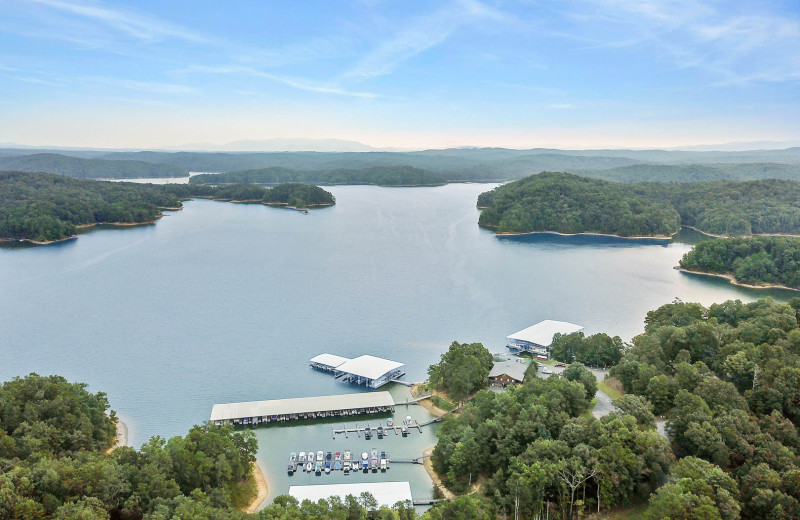 Marina at Carters Lake Marina 