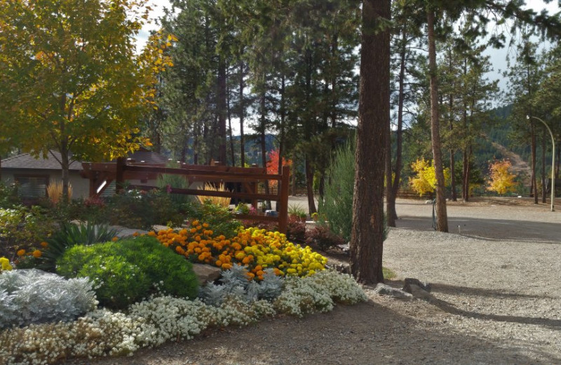 Grounds at Powers Creek Retreat.