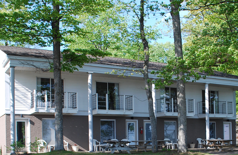 Exterior view of White Birch Lodge.