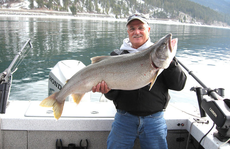 Fishing near Silverwolf Log Chalet Resort.