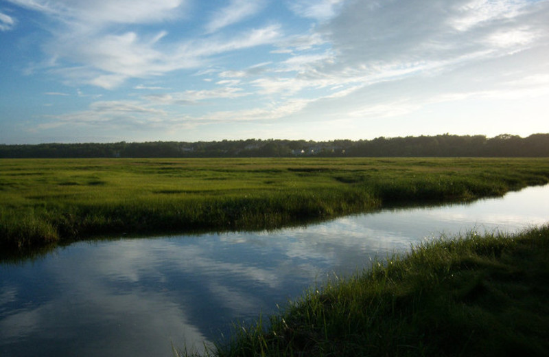 Scenic views near Maine Stay Inn & Cottages.