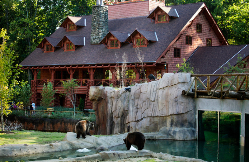 Zoo near Big Cypress Lodge.